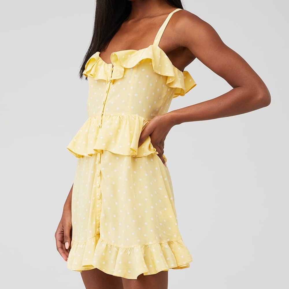 For Love & Lemons Mini Dress - Picture 3 of 13